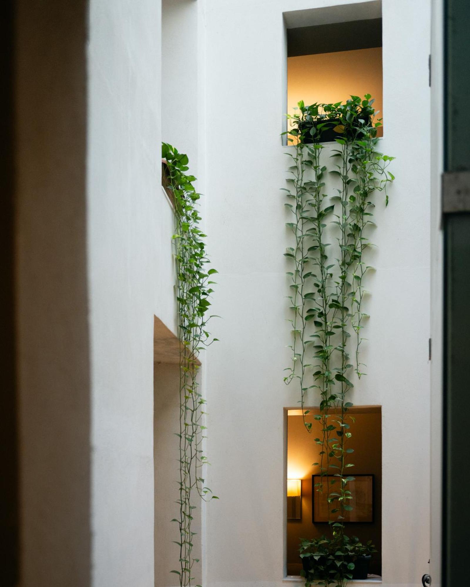 Hotel Ramblas Internacional Barcelona Exterior foto